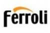 Газовые котлы Ferroli